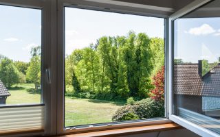 ausblick-fenster